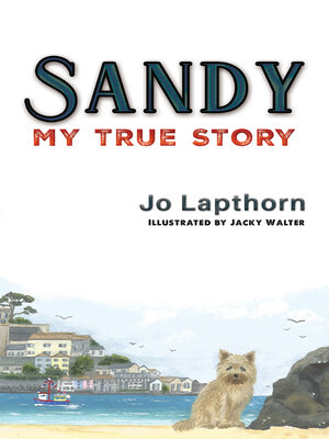 cover image of Sandy